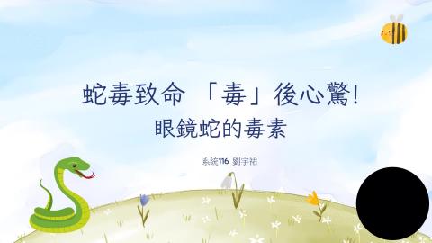 (64000)D1131209-1_1131TIDL生活中的毒物(課調老師:生理所張雅雯教授)_系統系劉宇祐_113.12.9_眼鏡蛇