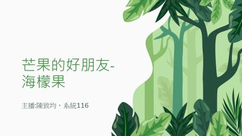 (64010)D1131209-11_1131TIDL生活中的毒物(課調老師:生理所張雅雯教授)_系統系陳致均_113.12.9_芒果的好朋友海檬果