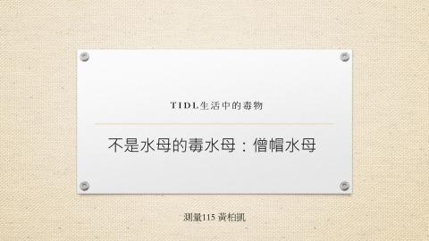 (64015)D1131216-1_1131TIDL生活中的毒物(課調老師:生理所張雅雯教授)_測量系黃柏凱_113.12.16_僧帽水母