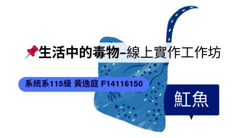 (64016)D1131216-2_1131TIDL生活中的毒物(課調老師:生理所張雅雯教授)_系統系黃逸庭_113.12.16_魟魚
