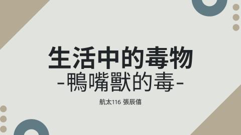 (64030)D1131223-1_1131TIDL生活中的毒物(課調老師:生理所張雅雯教授)_航太系張辰僖_113.12.23_鴨嘴獸的毒
