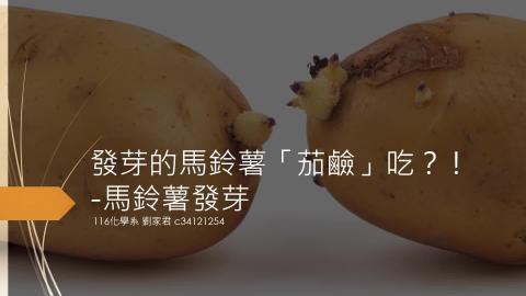 (64039)D1131223-10_1131TIDL生活中的毒物(課調老師:生理所張雅雯教授)_化學系劉家君_113.12.23_馬鈴薯發芽