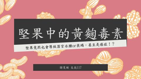 (64040)D1131223-11_1131TIDL生活中的毒物(課調老師:生理所張雅雯教授)_生技系謝旻璇_113.12.23_堅果中的黃麴毒素