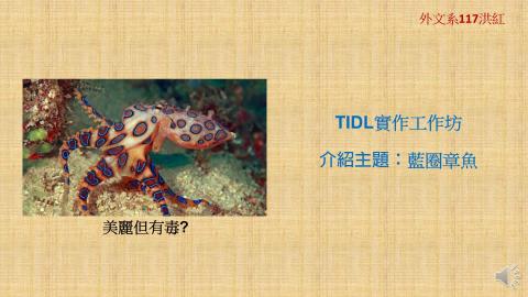 (64045)D1131230-1_1131TIDL生活中的毒物(課調老師:生理所張雅雯教授)_外文系洪紅_113.12.30_藍圈章魚屬