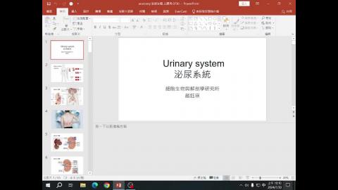 2024-07-30 泌尿生殖系統.mp4