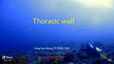1. Thoracic wall 2024.mp4