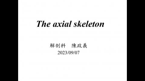Axial skeleton only.mp4