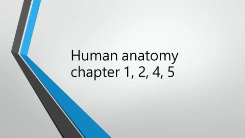 小大體－Introduction.mp4