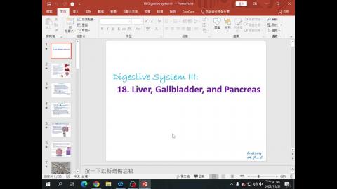 Histoligy Digestive system-3 (2023 完整授課).mp4