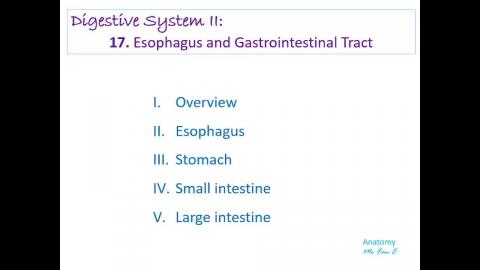 GI 2023完整授課 .mp4