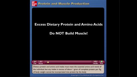 Ch16 Video 1 protein and muscle production.mp4