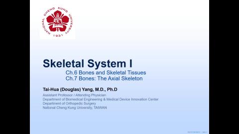 2024-09-27 Sketetal I.mp4