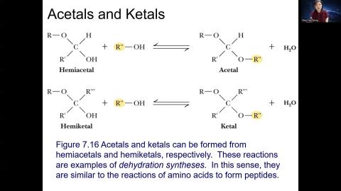 Chapter 7 CarbohydratesPart II.mp4