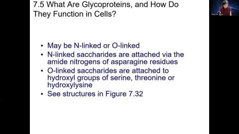 Chapter 7 CarbohydratesPart III.mp4