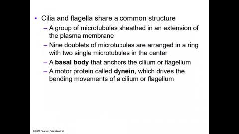 Lecture_Presentation_07 short.mp4