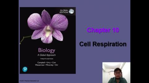 Lecture_Presentation_10.mp4