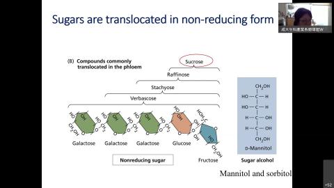 植生線上教學-20241004-2.mp4