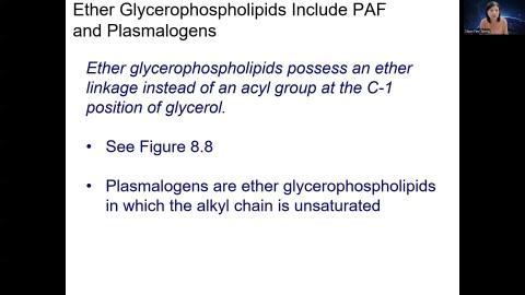 Chapter 8 Lipids Part II.mp4