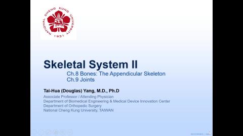 2024-10-04 Skeletal II.mp4