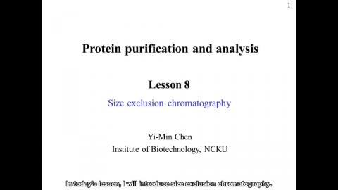 蛋白質: Size exclusion chromatography - 英文字幕版 241005