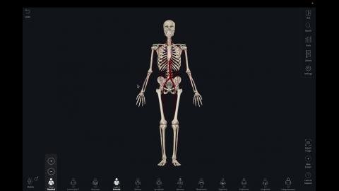 CV_UE_Brain_Josh241001.mov