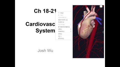 2024-10-11 Cardiovascular system.mp4