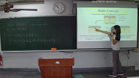 20241021_4.mp4