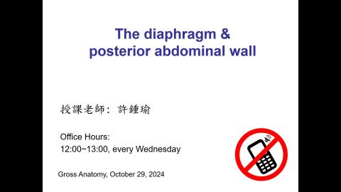 2024.10.31 大體解剖 Diaphragm & posterior abdominal wall