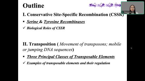 Molecular Biology_Transposable Elements_20241031.mp4