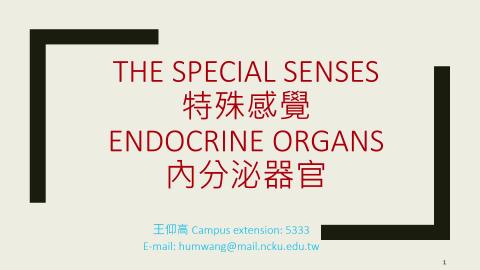 2024-11-01 Special sense & Endocrine.mp4