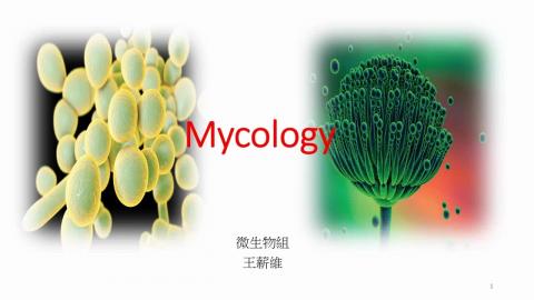 Mycology.mp4