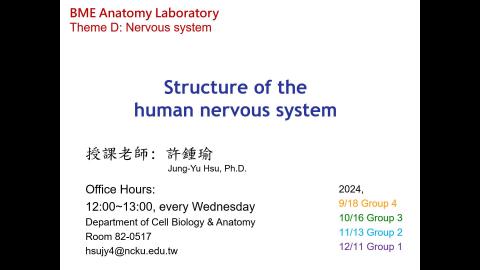 2024.11.13 解剖學實驗 (Anatomy Laboratory) Theme D_Nervous System