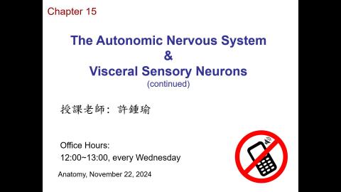 2024.11.22 解剖學 Ch 15-Autonomic nervous system (補遺)