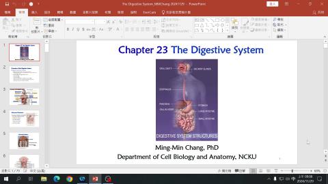 2024-11-29 Digestive system.mp4