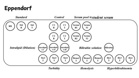 臨床生化實驗-Total protein  update.mp4