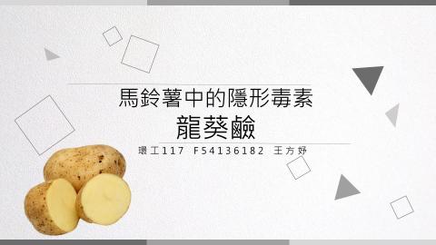 (66154)D1140505-6_1132TIDL生活中的毒物(課調老師:生理所張雅雯教授)_環工系王方妤_114.5.5_馬鈴薯中的隱形毒素 - 龍葵鹼