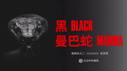 (66159)D1140505-11_1132TIDL生活中的毒物(課調老師:生理所張雅雯教授)_機械系吳采霓_114.5.5_「非洲死神：黑曼巴蛇」