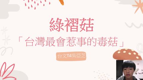 (66169)D1140512-6_1132TIDL生活中的毒物(課調老師:生理所張雅雯教授)_台文系吳亞芝_114.5.12_綠褶菇「台灣最惹事的毒菇」