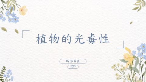 (66176)D1140512-13_1132TIDL生活中的毒物(課調老師:生理所張雅雯教授)_測量系張昇益_114.5.12_ 植物的光毒性