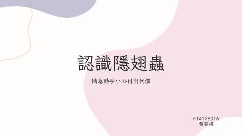 (66221)D1140602-13_1132TIDL生活中的毒物(課調老師:生理所張雅雯教授)_系統系黃睿祺_114.6.2_隱翅蟲的毒性
