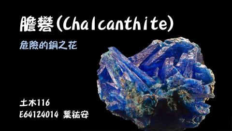 (66231)D1140609-8_1132TIDL生活中的毒物(課調老師:生理所張雅雯教授)_土木系葉祐安_114.6.9_膽礬(Chalcanthite)的毒性 *(銅中毒)