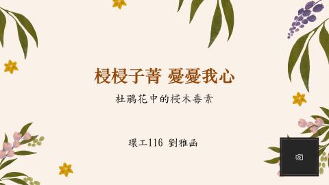 (66238)D1140609-15_1132TIDL生活中的毒物(課調老師:生理所張雅雯教授)_ 外文系洪楷昀_114.6.9_ O題