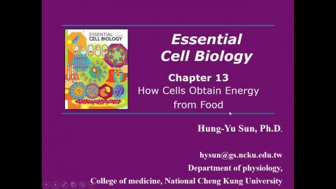 2025-03-14 Cell Bio.mp4