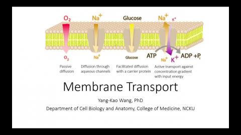 2025-03-21 Cell Bio.mp4