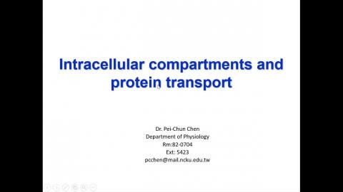2025-05-02 Cell Bio.mp4