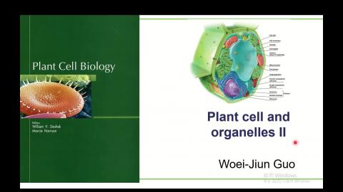 Plant cell-II-vedio-A.mp4