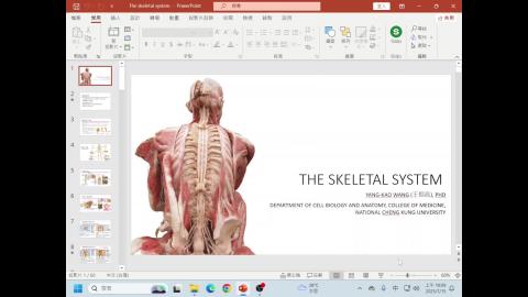 系統解剖學_0715_骨骼系統.mp4