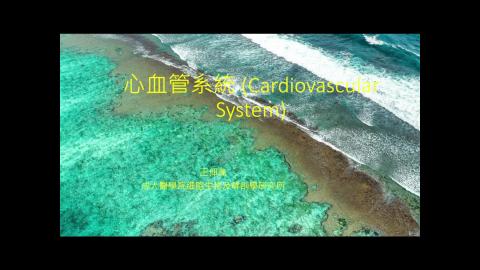 系統解剖學_0717_心血管系統.mp4