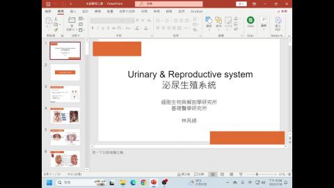 系統解剖學_0718_泌尿生殖系統.mp4