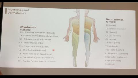 Upper limb_Superficial fascia-3.mp4